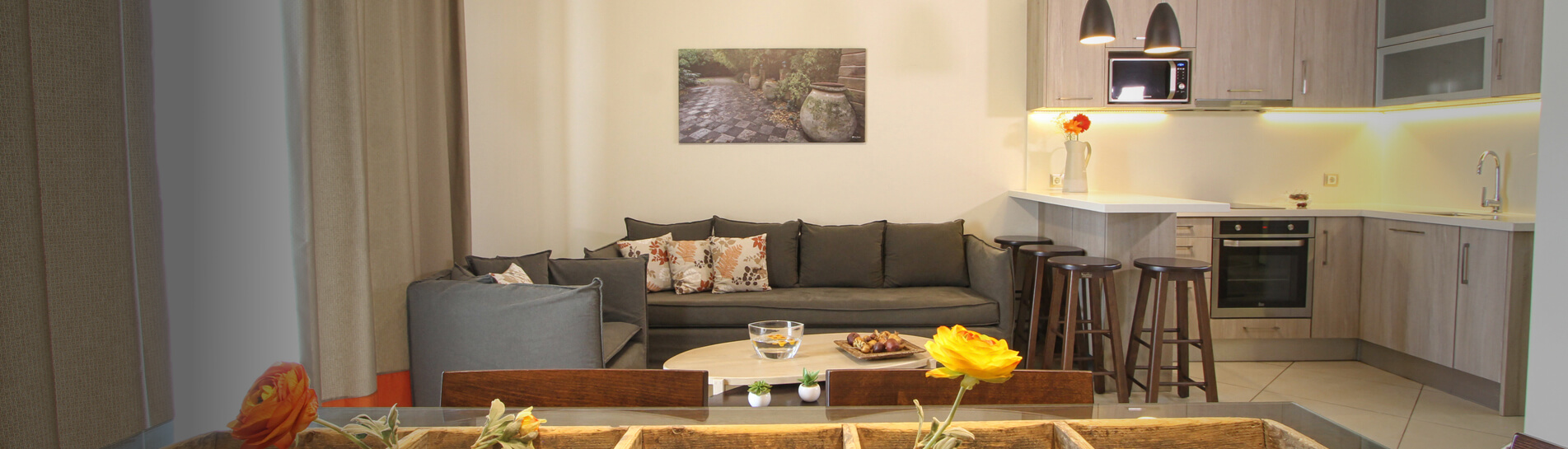 executive-apartment-home